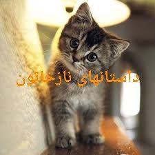 داستانهای نازخاتون گربه های ناقلا